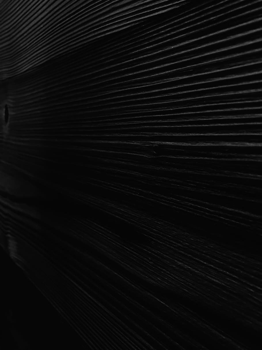 wood, wall, pattern, black, backgrounds, full frame, no people HD wallpaper