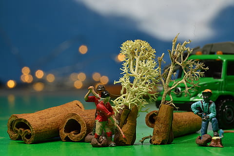 figures, miniatures, creative, small, figurine, humorous, security HD wallpaper
