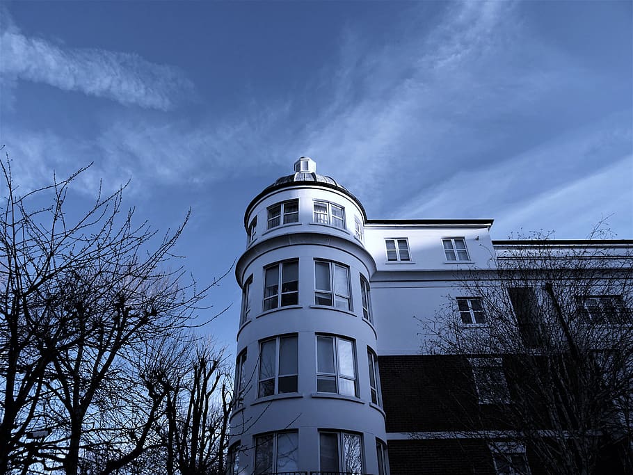 White 4-storey Mansion Surrounded by Bald Trees, architecture HD wallpaper