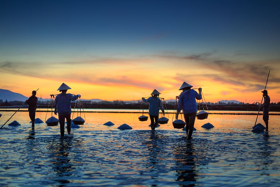 Five Person Standing Near Body of Water, backlit, basket, carry HD wallpaper