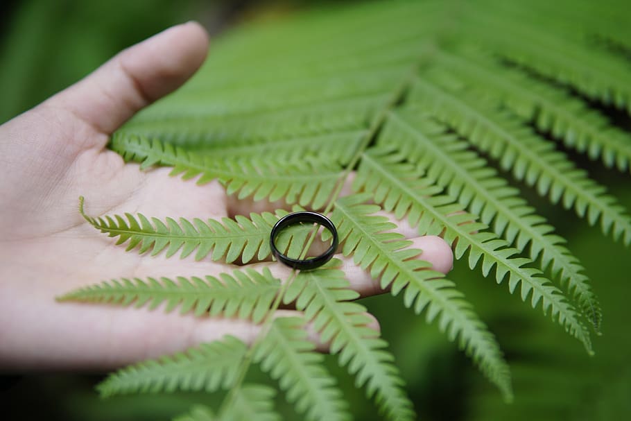 nature, green, ring, flowers, gorgeous, romantic, human hand HD wallpaper