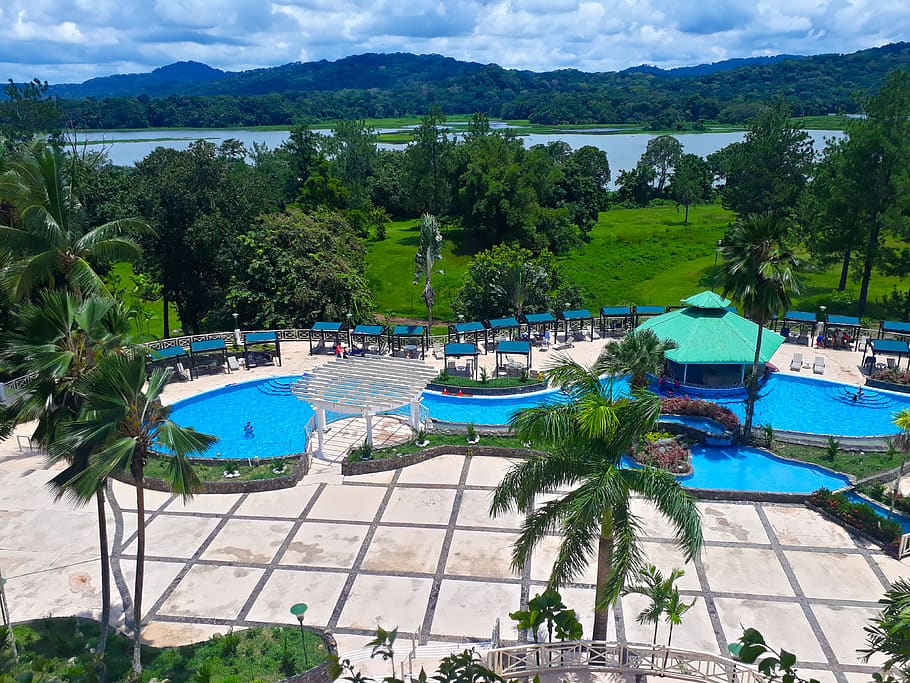 resort, pool, panama, vacations, tree, plant, water, nature HD wallpaper