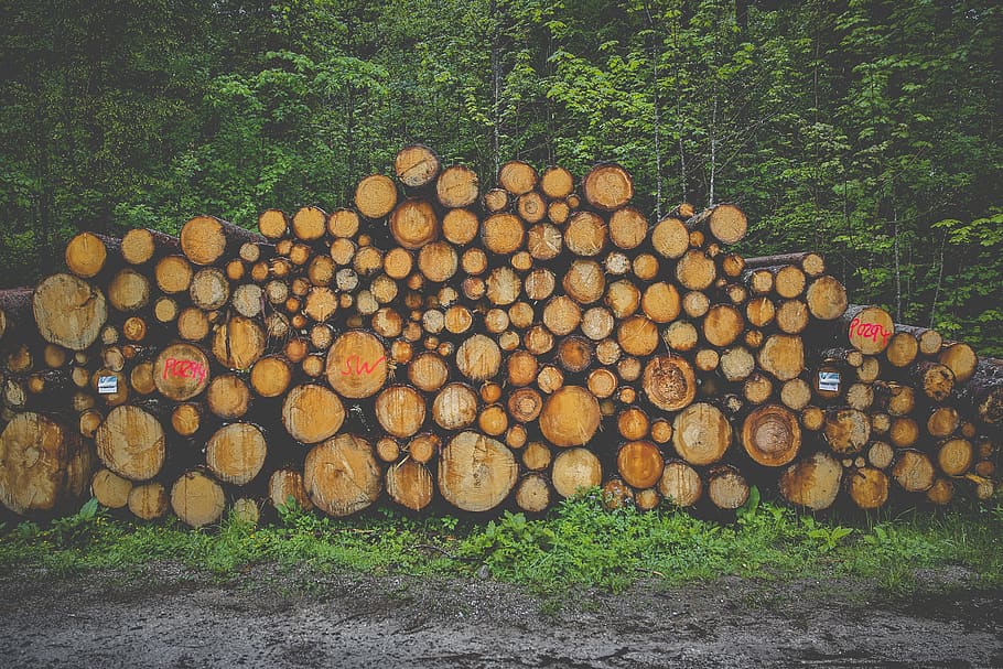 wood, firewood, stack, forestry, tree trunks, holzstapel, growing stock, HD wallpaper