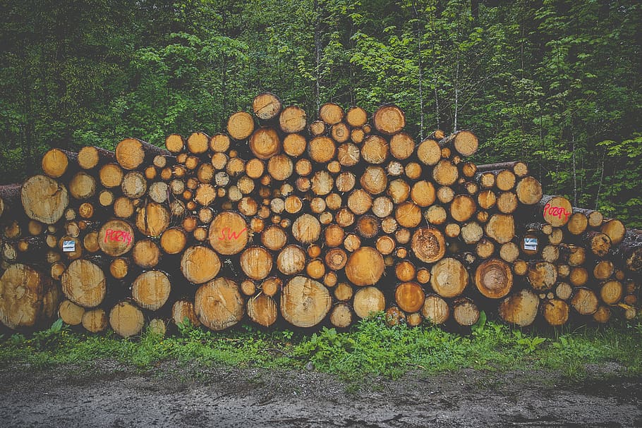 wood, firewood, stack, forestry, tree trunks, holzstapel, growing stock HD wallpaper