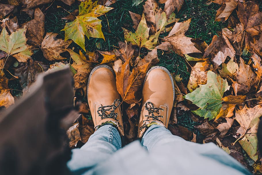 person in brown leather boots standing in ground surrounded with leaves HD wallpaper