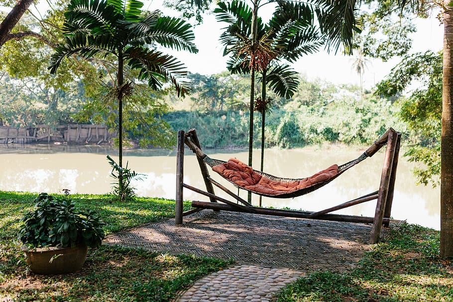 brown hammock near tree, plant, nature, day, palm tree, growth HD wallpaper
