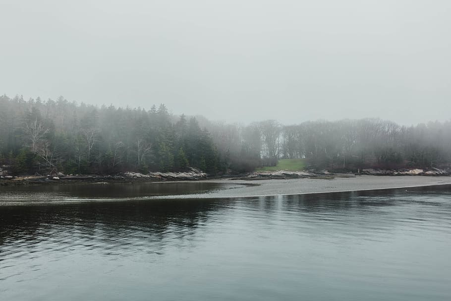 ocean, beach, trees, fog, foggy, lake, grass, hidden, sand HD wallpaper