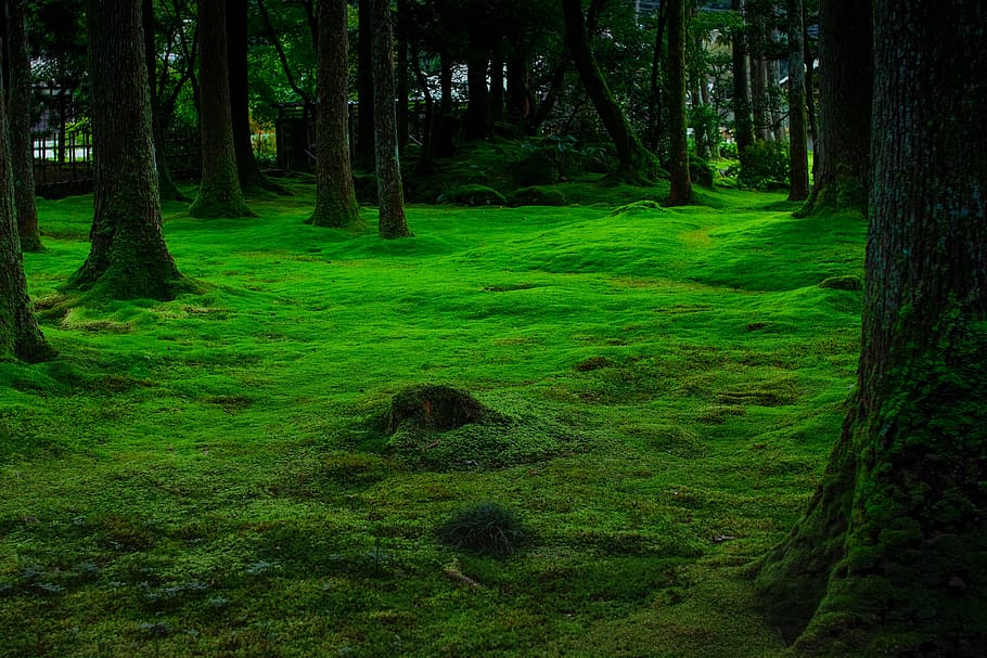 moss-green-natural-stone.jpg