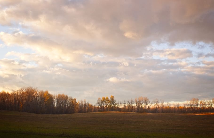 field, sky, forest, landscape, clouds, sunset, nature, cloud - sky HD wallpaper