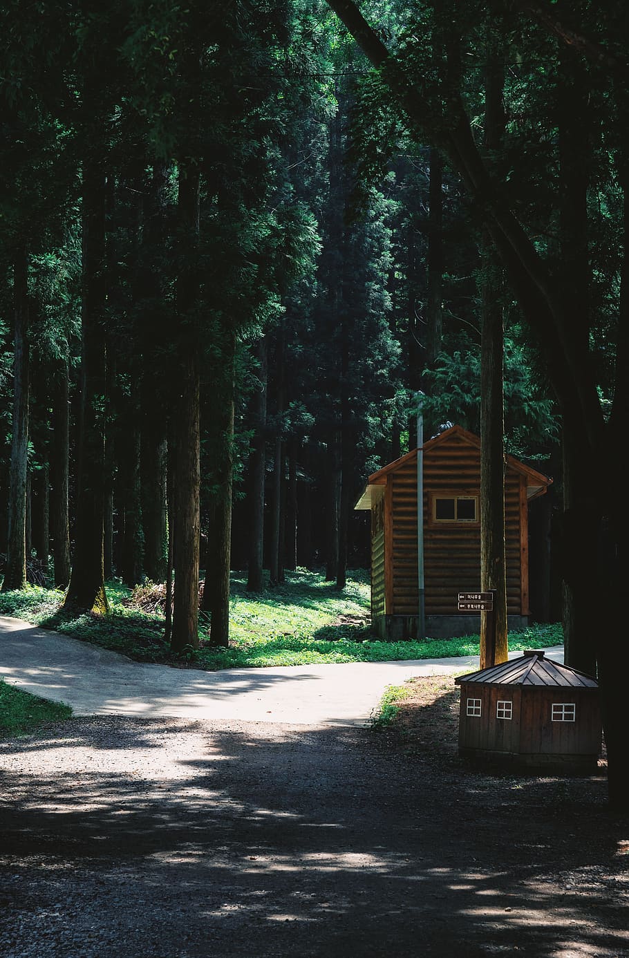 shed within forest surrounded by trees, housing, building, nature HD wallpaper