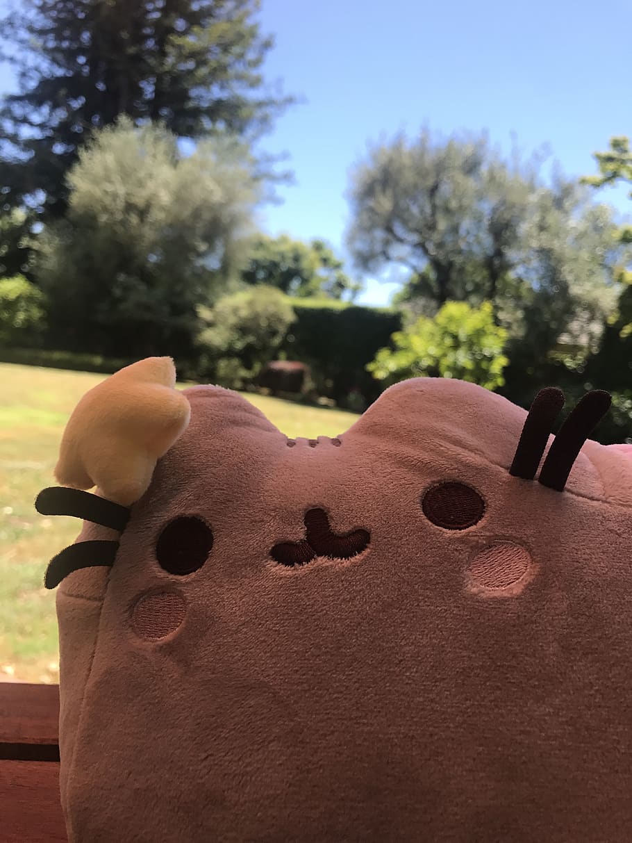 united states, palo alto, crescent park, pusheen, sun, mermaid