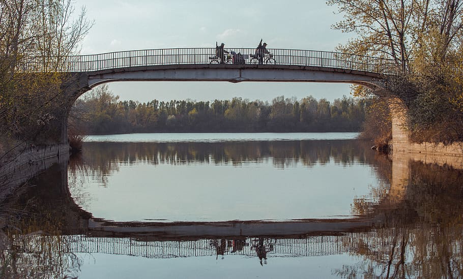 people on bridge, water, reflection, tree, plant, bridge - man made structure HD wallpaper