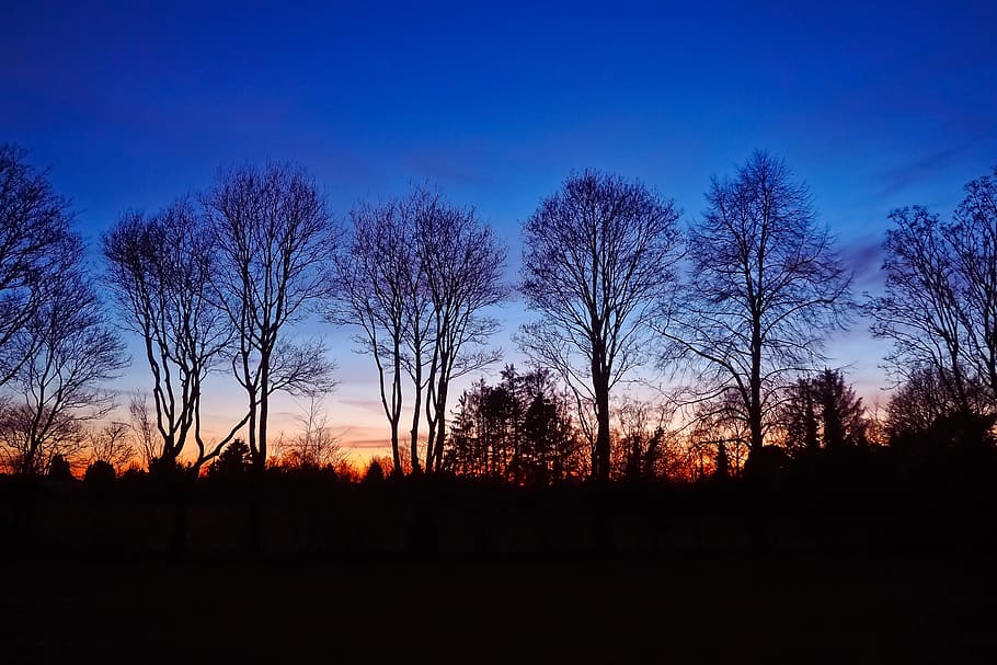 landscape, sunset, nature, sky, evening, scenic, twilight, clouds HD wallpaper