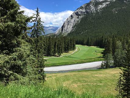 green-leafed trees during daytime, banff, 405 spray ave, canada HD wallpaper