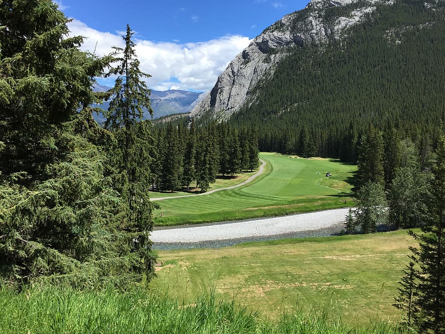 green-leafed trees during daytime, banff, 405 spray ave, canada HD wallpaper