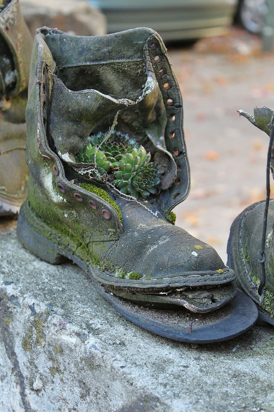 boot, shoes, old, Leather, close-up, no people, focus on foreground HD wallpaper
