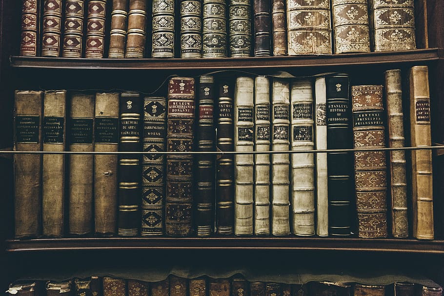 books filed on bookshelf, history, old, antique, library, spine, HD wallpaper