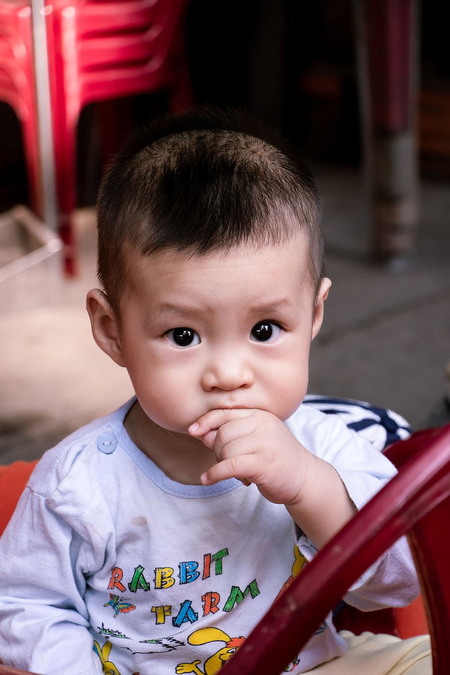 Boy Eating Hands While Sitting on Chair, baby, child, close-up, HD wallpaper