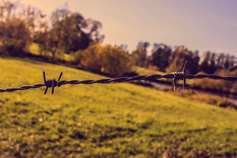 pasture fence, metal, wire, barbed wire, fencing, demarcation, HD wallpaper