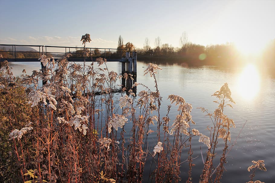 fall, sun, river, vltava, autumn, water, plant, sky, tranquility HD wallpaper