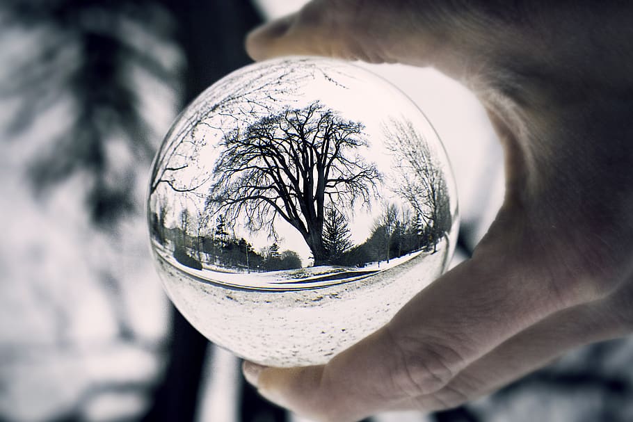 close-up, one person, glass - material, focus on foreground HD wallpaper