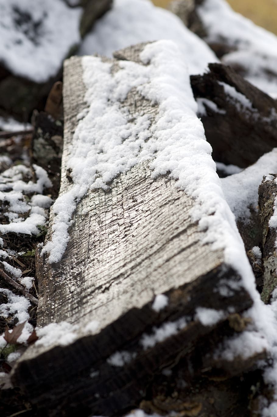 cold, snow, wood, winter, cold temperature, no people, day HD wallpaper