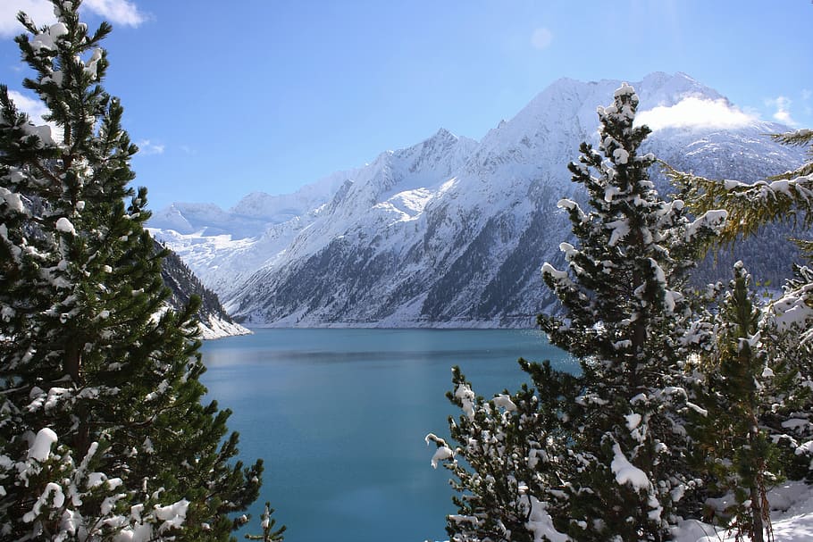Body of Water and Pine Tree, adventure, alpine, cold, conifer HD wallpaper