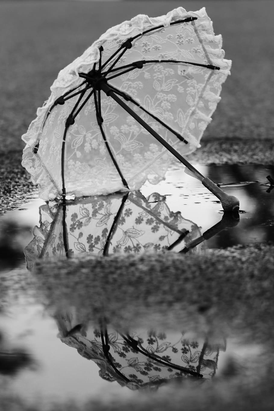 umbrella, puddle, water, close-up, no people, selective focus HD wallpaper
