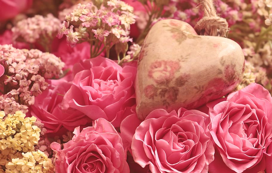 roses, heart, noble roses, romantic, pink, flower, beauty, love