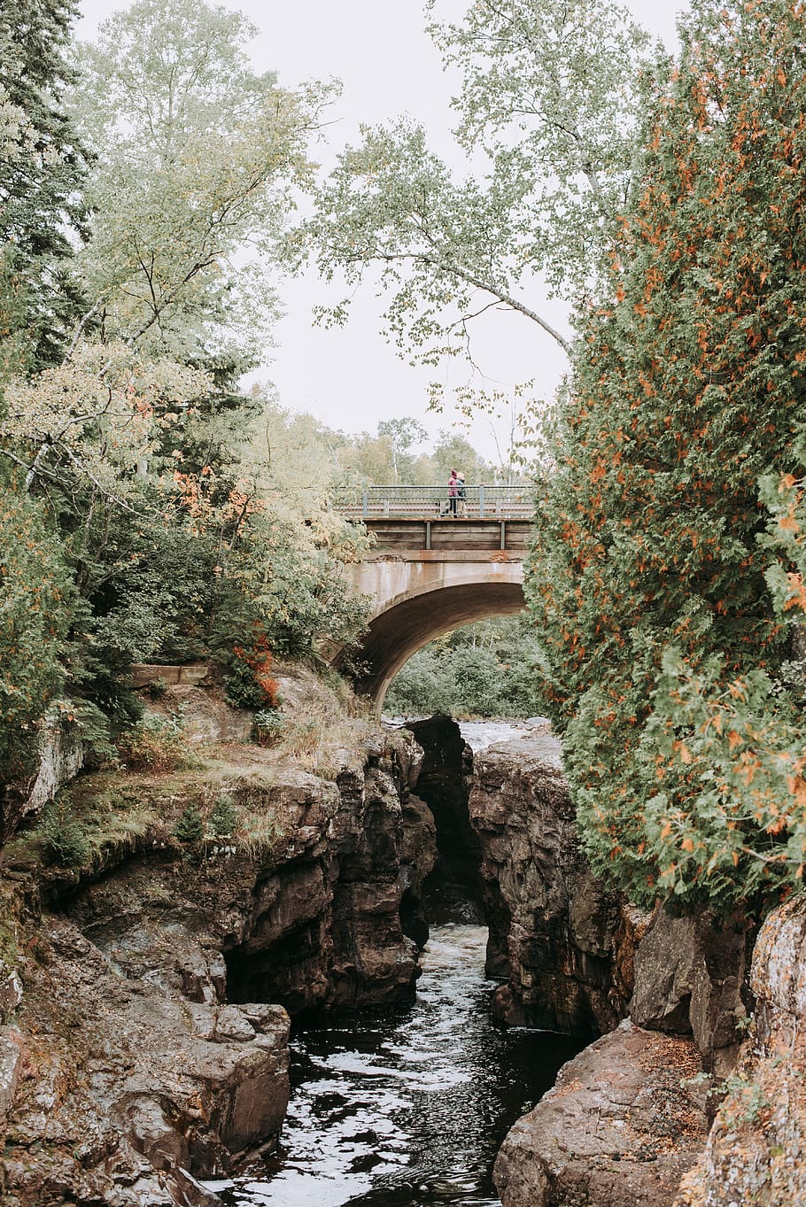 grey concrete arch bridge between trees, united states, temperance river HD wallpaper
