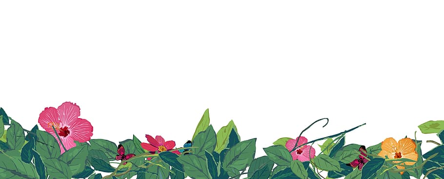 framework, flowers, spring, decorative, vintage, drawing, creative HD wallpaper