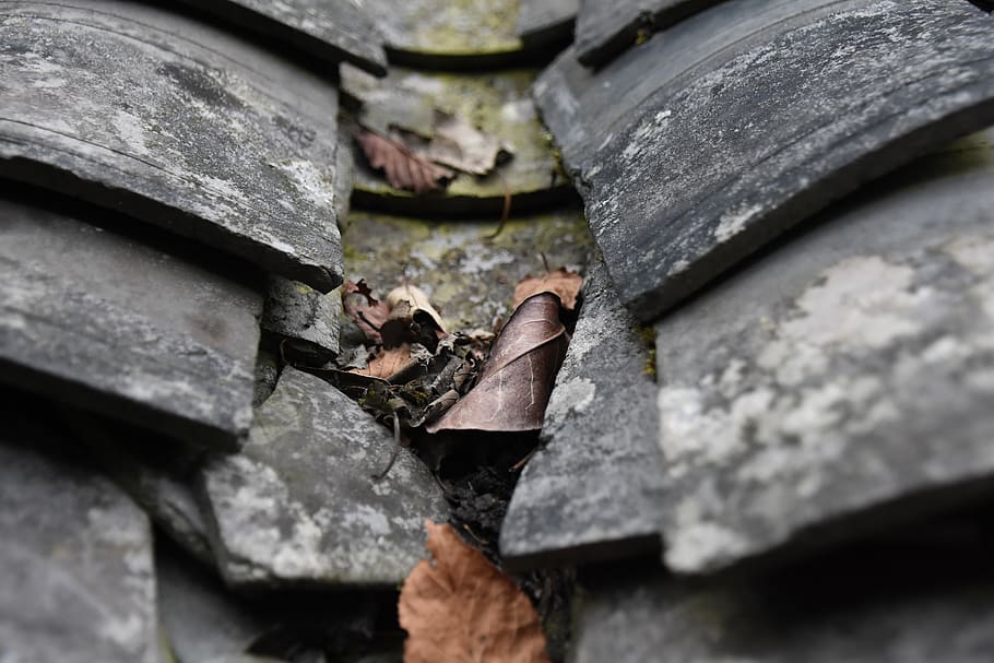 brick sheet, tiles, defoliation, day, no people, close-up, nature HD wallpaper