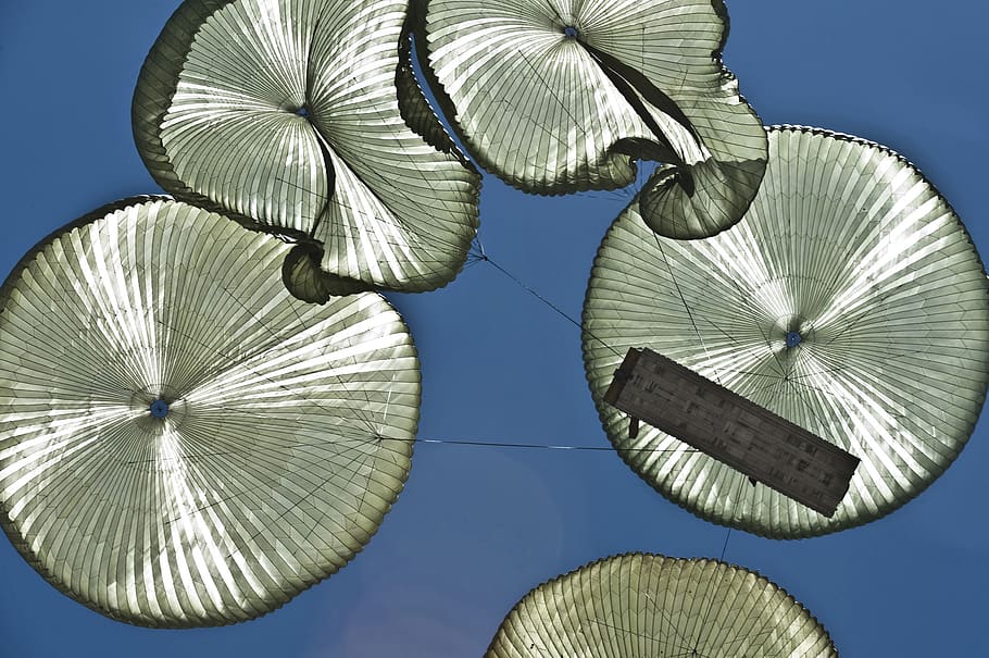 Silver and Black Jelly Fish Under Water, low angle shot, parachutes HD wallpaper