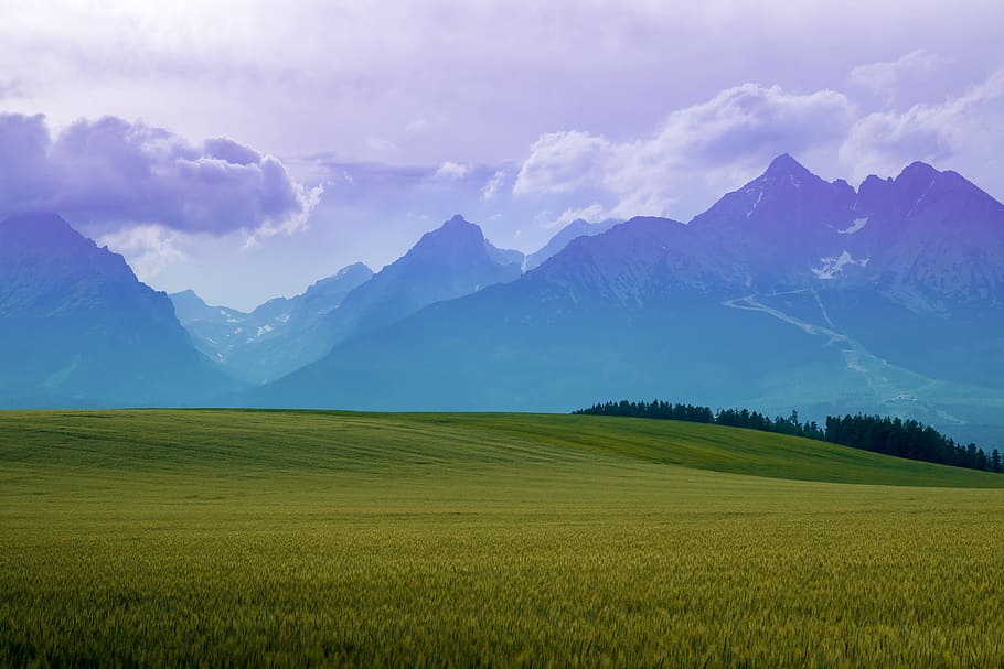 Landscape high mountains. Landscape in the fields at night., environment HD wallpaper