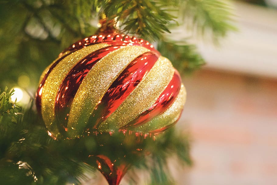 green and red plastic bauble, ornament, tree, plant, pine, decoration HD wallpaper