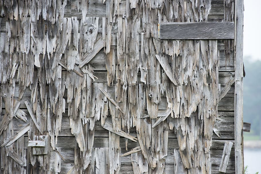 canada, lunenburg, second peninsula road, texture, wood, nova scotia HD wallpaper