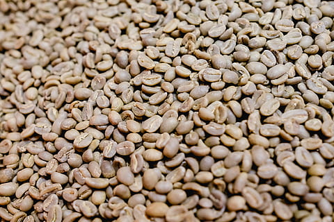 coffee, beans, coffeebeans, brown, raw, roastery, ethiopia HD wallpaper