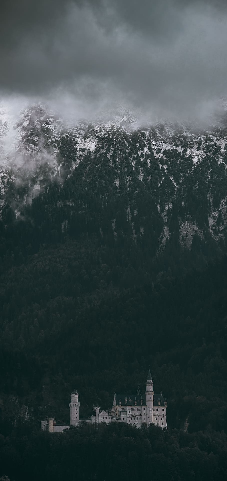 white castle in mountain range, medieval, forest, remote, mountainside HD wallpaper