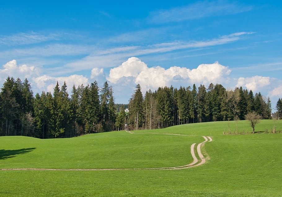 sky, clouds, away, hunter was, perch, hunters pulpit, ansitz pulpit HD wallpaper