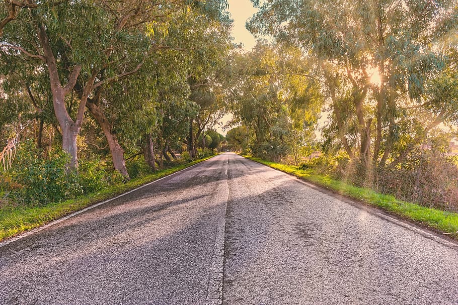 road, empty, sun, asphalt, landscape, travel, direction, route HD wallpaper