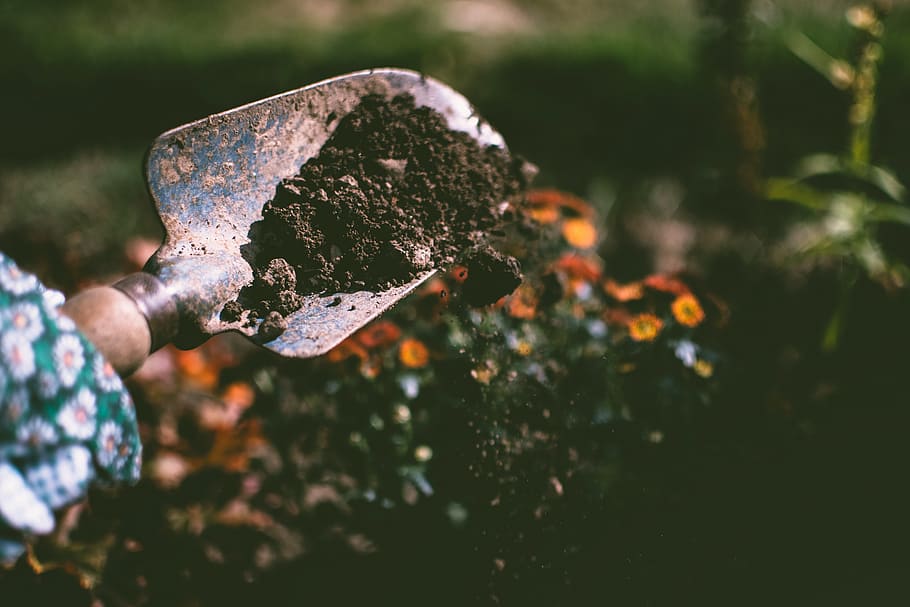 garden, trowl, tool, yard, work, nature, ground, dirt, plant HD wallpaper