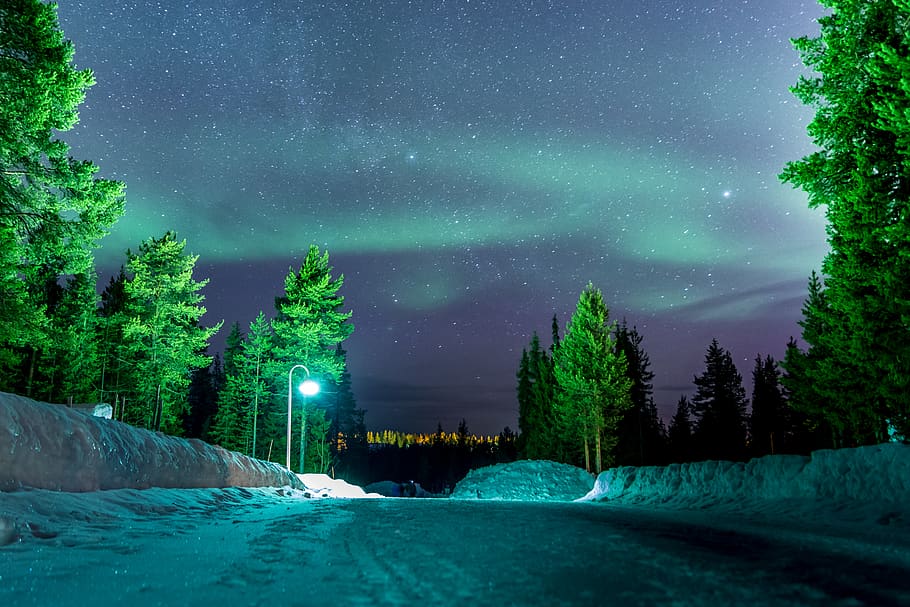 Empty Snowfield at Nighttime, cold, conifer, dawn, evening, evergreen HD wallpaper