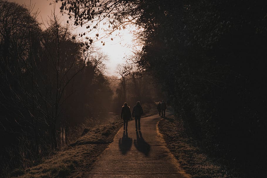 two people walking along pathway, human, person, outdoors, light