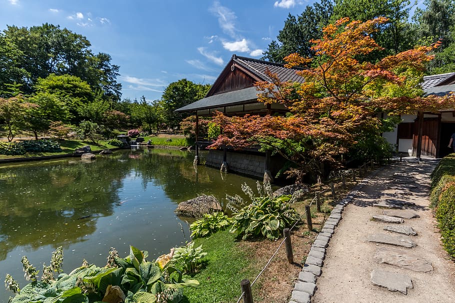 belgium, hasselt, japanese garden, japansetuin, nature, lake, HD wallpaper