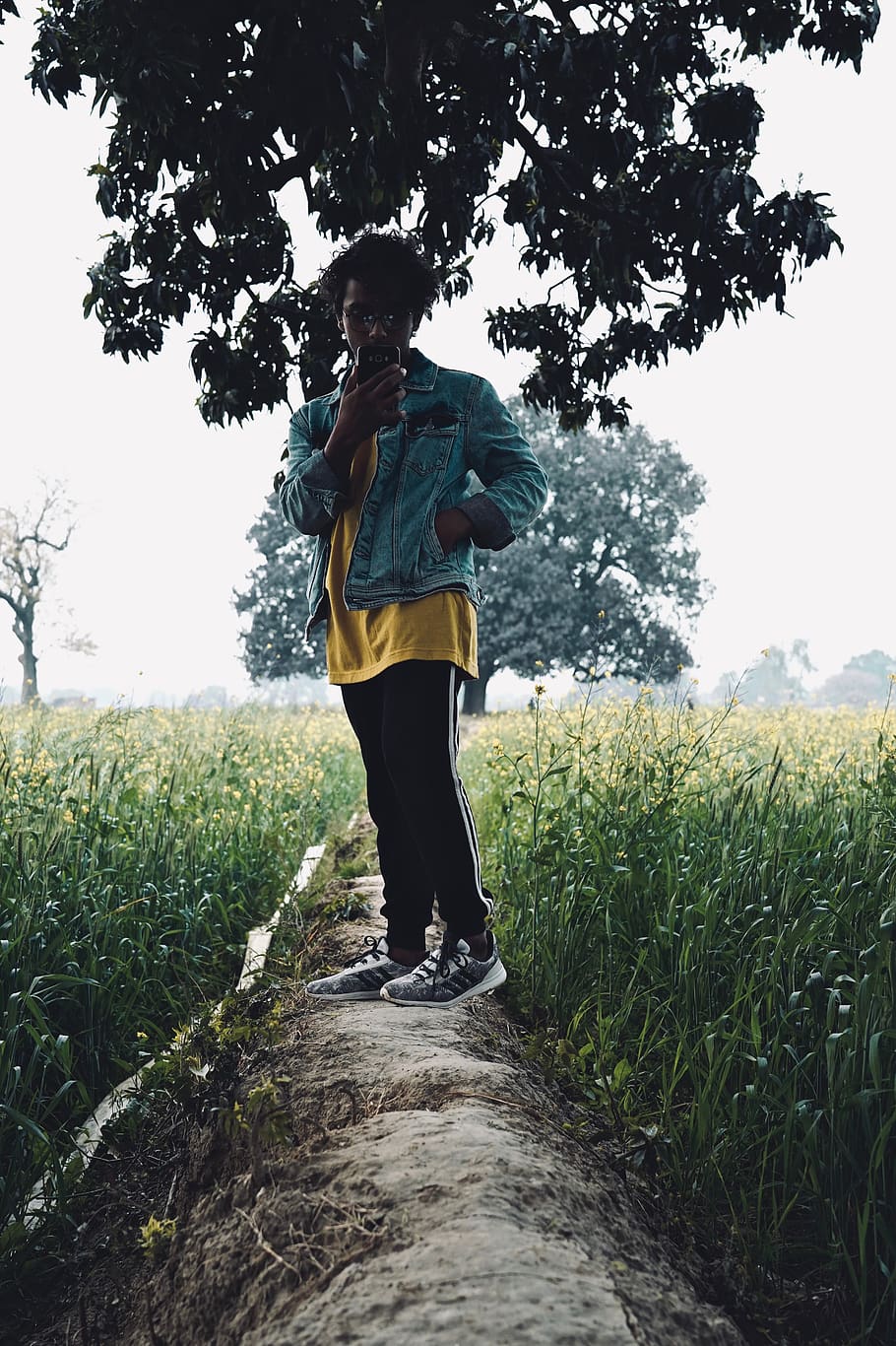 man standing under green trees, person, human, clothing, apparel HD wallpaper