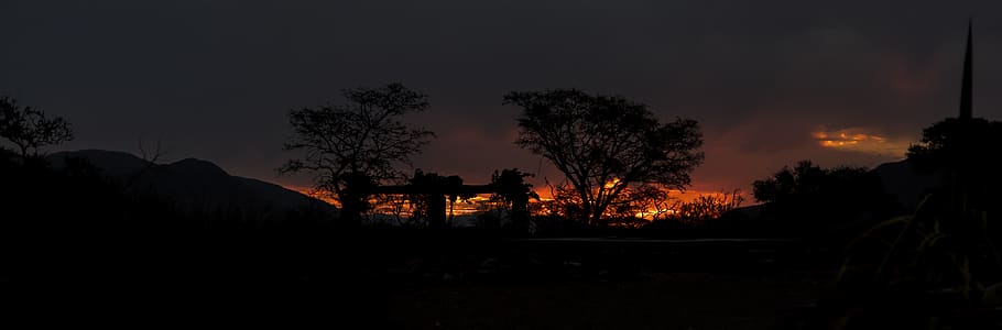 namibia, tree, sky, plant, nature, silhouette, burning, fire HD wallpaper