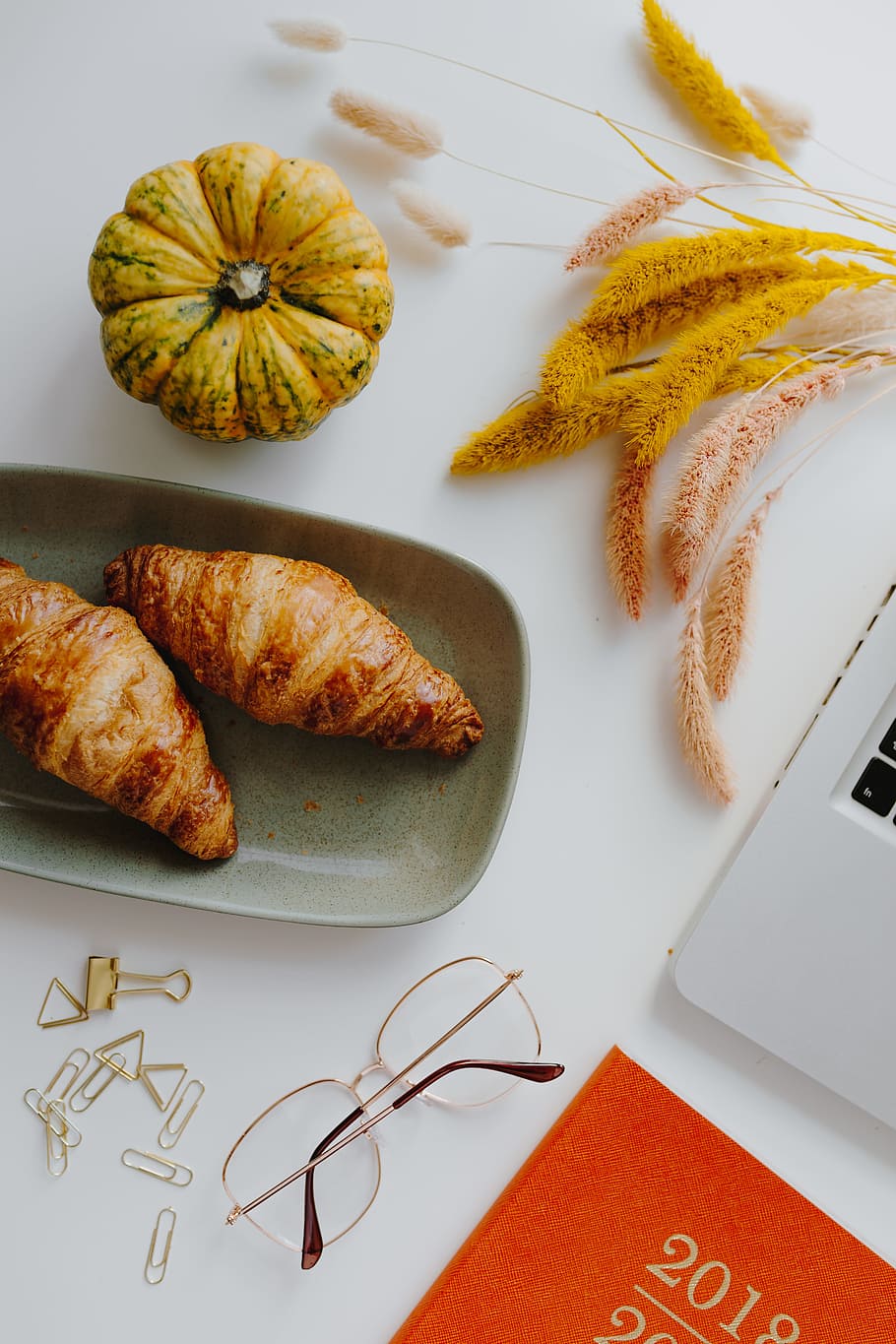 Female desk with orange notebook and pumpkins, laptop, computer HD wallpaper