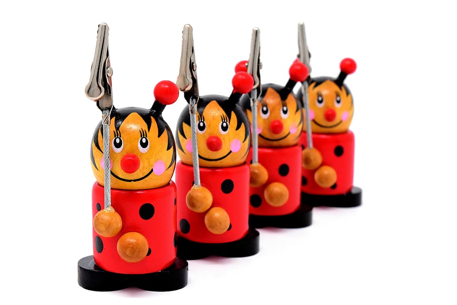 note holder, wood, ladybug, funny, cute, clip, white background HD wallpaper