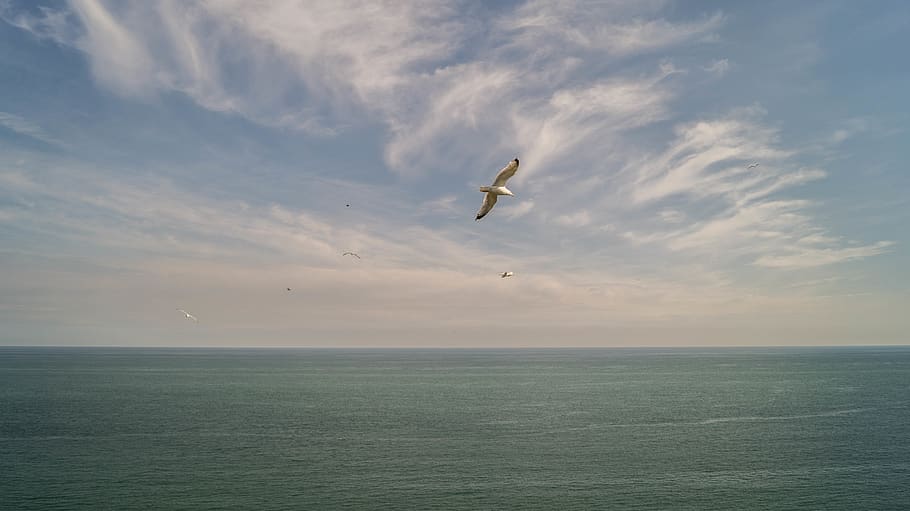 france, pointe du hoc, sky, horizon, horizon over water, sea HD wallpaper
