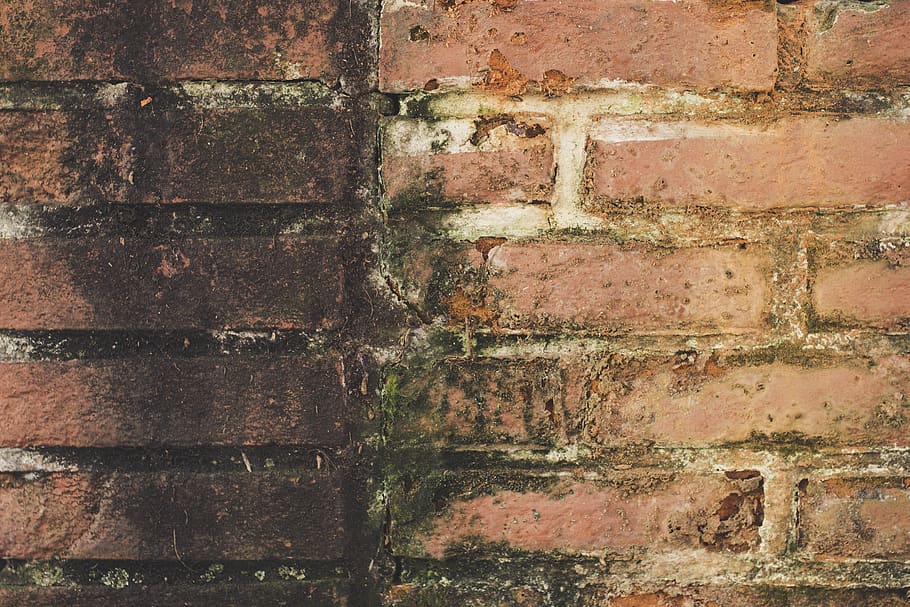 brick, brickwall, brick wall, bricks, dirt, damaged, limbo HD wallpaper